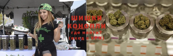 мдпв Вязьма