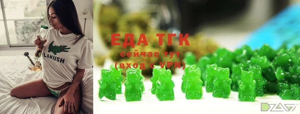 прущий лед Вяземский