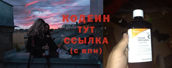 прущий лед Вяземский