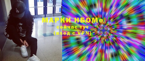 прущий лед Вяземский