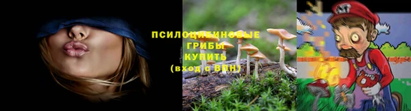 прущий лед Вяземский