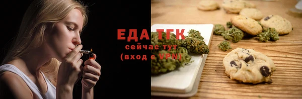 прущий лед Вяземский
