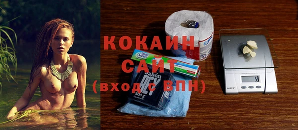 мдпв Вязьма