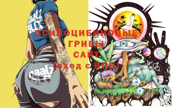 мдпв Вязьма