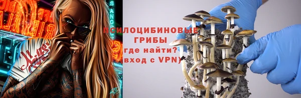 мдпв Вязьма