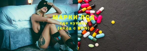 прущий лед Вяземский
