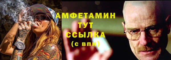 прущий лед Вяземский